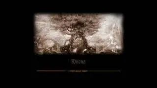Гайд по прокачке для Новых игроков с 1 по 165 лвл Last Chaos Valhalla