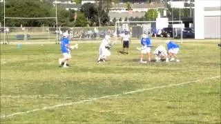 LAX decleated
