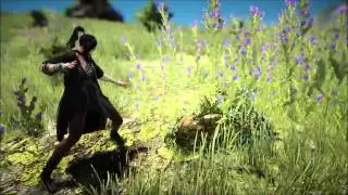 Обзор класса Волшебник в Black Desert Online