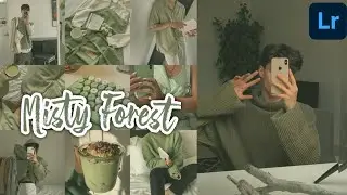 Misty Forest - Lightroom Mobile Presets DNG | Faded Green | Aesthetic