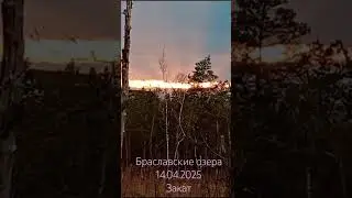 🏕️🏵️БЕЛАРУСЬ. БРАСЛАВСКИЕ ОЗЕРА. ЗАКАТ НАД БОЛОТОМ  В АПРЕЛЕ . 14.04.2025. ВИДЗЫ.