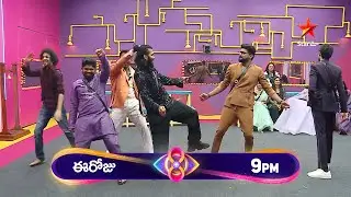 Sunday is a Funday Bigg Boss 8 Telugu Today Promo | Non-Stop Fun with Nagarjuna | #biggboss8promo