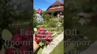 ОГОРОД ЭТО ДОРОГО 😀 #дача #garden #сад