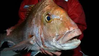 We camped on our boat! Worth it for these fish.