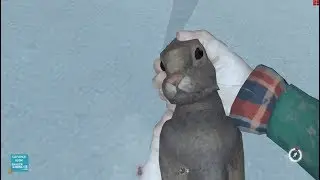 The Long Dark: How to Kill a Rabbit with a Stone