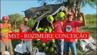 MST - Movimento dos trabalhadores Rurais / Brasil