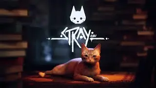 Stray #2 Relax stream. Кошкатун в киберпунке