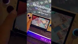 Rest touch screen ROG ALLY