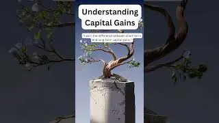 The Better Investment Tax: Capital Gains