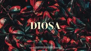 Afrobeat Type Beat 