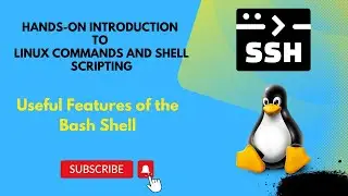 Useful Features of the Bash Shell || Hands-on Introduction to Linux Commands and Shell Scripting