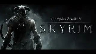 The Elder Scrolls V: Skyrim -MX330 -i5