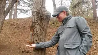 Кормление белки в парке Кисловодсвка