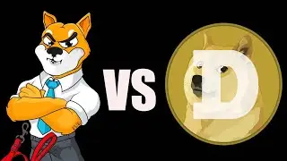 Dogecoin vs SHIBA INU; A Critical Comparison