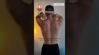 МАССАЖ ШВЗ ДОМА: от холки и напряжения 