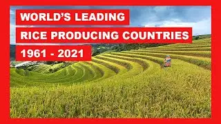 World's Leading Rice Producing Countries (1961 - 2021)