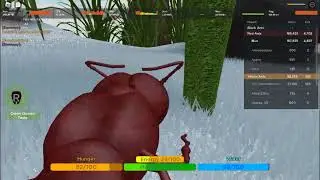 raiding spiders with 400 ping