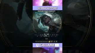 SENNA SUPPORT 