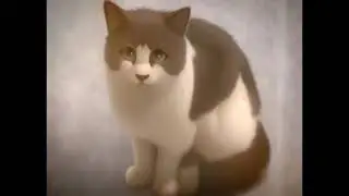 The Gray Cat