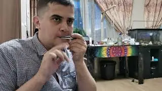 Обзор коллекции варганов