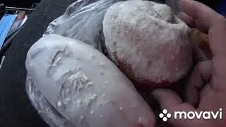 390. Туда, и обратно (часть 2. 