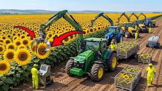 Sunflower oil! You won't believe how many seeds it takes to make a bottle! | How it's made | Mega...