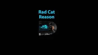 CS2 Music Kit - Rad Cat, Reason