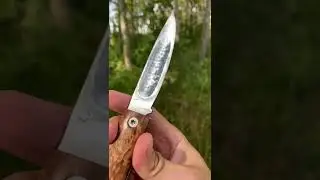 Yakut Folding Knife