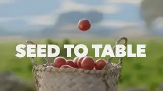 National Foods - Seed to Table