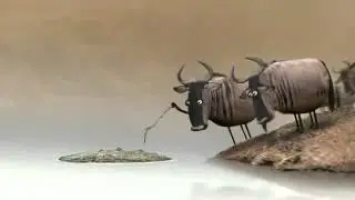 Кто прав