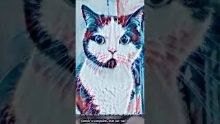 call center Kitty cat rap 