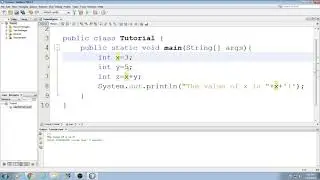Beginning Java Tutorial: 8 More on Declaring and Assigning variables