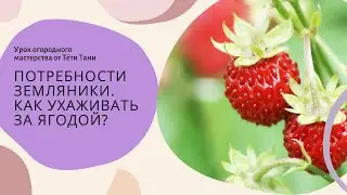 886. Земляника. Услышьте меня.