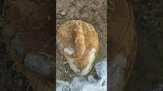 💦 Наткнулись на необычное место во время путешествия. Напомнило источник "мёртвой воды"