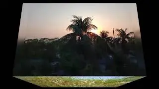 Natural Photos