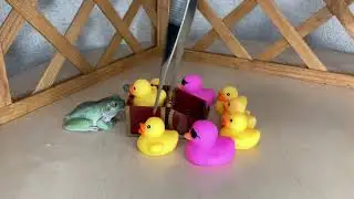 あひる軍団VSかえる（Ducks vs frog）