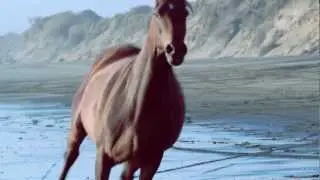 Spirit of the Dunes TRAILER