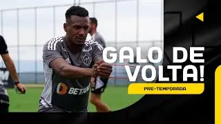 AGORA NÃO PARA MAIS! GALO DE VOLTA AOS TRABALHOS (03/01/2023)