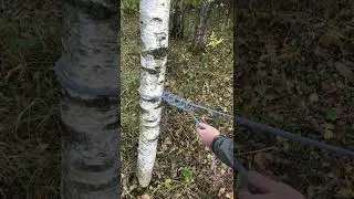 Штык