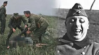 What Nazis Forced Women to Do Inside the Houses of Pleasure. Hard to Watch
