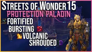 Protection Paladin POV | Streets of Wonder 15 | Season 4 Shadowlands
