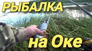 Рыбалка на Оке.Сплав на лодке