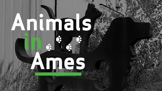 Animals in Ames | October 23, 2024