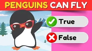 The ULTIMATE True or False Challenge (Fun Facts Trivia Game!)