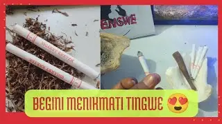 Menikmati Tingwe - Tembakau Daun Talas