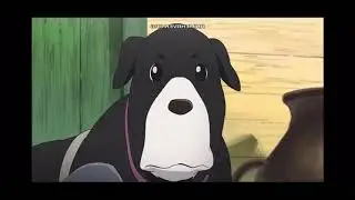 fmab reunion w/Winry but with ‘brothers’ [ENG Dub]