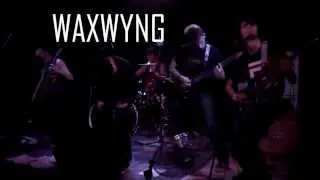 Waxwyng - Leap of Faith / Album Promo Vid / Odyssey