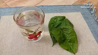 PEREDA SAKIT GIGI ALAMI || RAMUAN HERBAL SAKIT GIGI