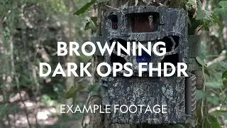 Example Footage | Browning Dark Ops FHDR Trail Camera