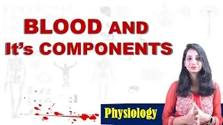 Blood and Its Components I Human Physiology I Plasma I RBC I WBC I Platelets  Body Fluid circulation